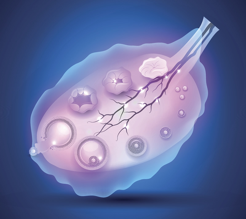 去福州做试管婴儿总共费用大约多少钱？